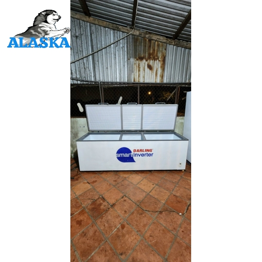 Darling 1400lit inverter